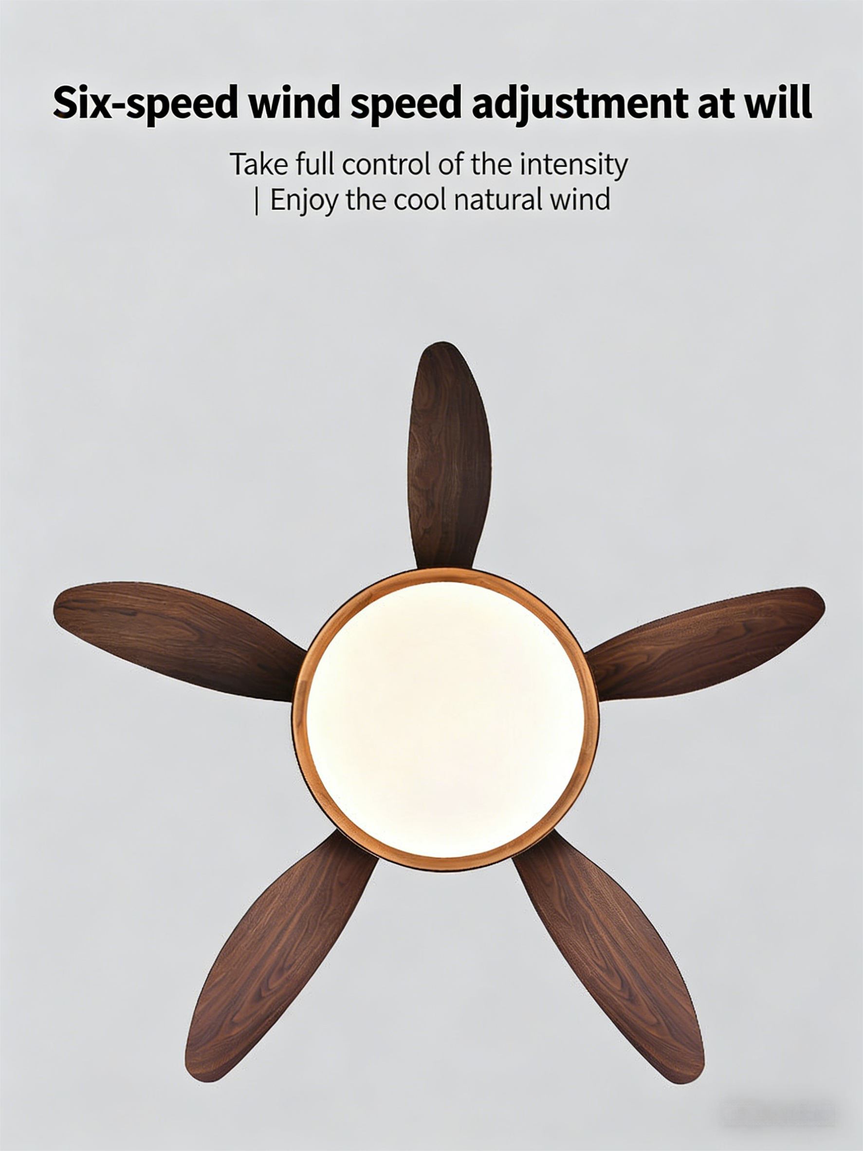 North American black walnut living room ceiling fan light, vintage dining room bedroom high wind ceiling fan with light - Ceiling Fans | CHEERFUL Kenya image 2